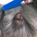 티앤디 동물병원 이미지