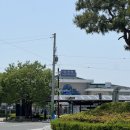 디카프리 완산 이미지