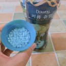 자연향기 | 다우니 향기부스터 퍼퓸 쥬얼 자연건조에 좋음 내돈내산 후기