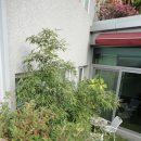 테라스풍경 이미지