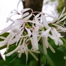 사단법인 나들목 이미지