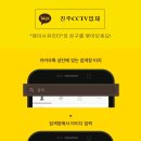 브이태권도장 이미지