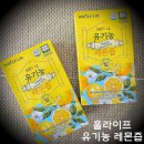 레몬라이프 | 홀라이프 유기농 레몬즙 내돈내산 후기