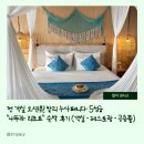 나뚜라 | [공지] 전 객실 오션뷰! 발리 누사페니다 5성급 "나뚜라 리조트" 숙박 후기 (객실 · 레스토랑 · 공용풀)