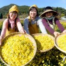 종기농장 이미지