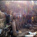 대광농장 이미지