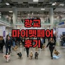 (상반기) 반려동물과 행복한 동행 : 펫티켓 | 2025 광교 수원 마이펫페어: 주차부터 구매템 꿀팁까지!