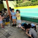 삼방초병설유치원 이미지