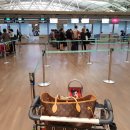 디프코리아전주점 이미지