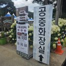 색동수국정원 공중화장실 | 공주 가볼만한곳 : 공주 유구색동수국정원 꽃축제