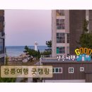 강원도 글램핑 캠핑장 추천 강릉여행 굿캠핑 조용한 휴식과 바비큐 즐기기