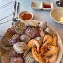 온누리설악종로지점 | 5월 일상 l 종로 아크레도 웨딩링 투어, 노량진 대게 맛집, 광화문 1박2일 여행 후기