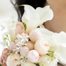 메종시나 | 메종드힐 스튜디오 촬영후기 및 내부사진