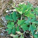 건강안마원 이미지