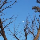 쉴만한강가 이미지