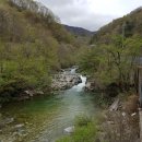 청정계곡 이미지