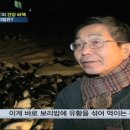 유황오리 이미지