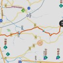 황금족보 이미지