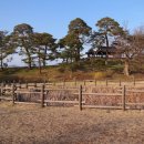 삼소정