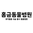 홍금동물병원 이미지