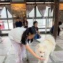겨울이 머무는 집 이미지
