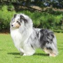 이지스힐 이미지