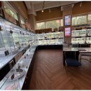 대구펫 강아지분양 고양이분양 이미지