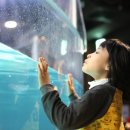 연한가지공동체 이미지