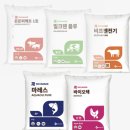 제일피드 이미지