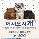 어서오시개 이미지