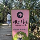 중앙닭집식당 이미지