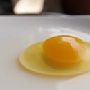 방송양계장 이미지