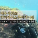 제주:서귀포 언더더씨스쿠버다이빙 | 제주스킨스쿠버 체험다이빙 후기