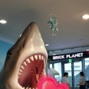 (주)이채팜 | 여름밤 찬스 !! 아주 특별한 나이트 아쿠아플라넷 일산으로 다채로운 생태 체험~다녀왔어요♡♡