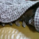 선규농장 이미지