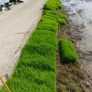 진옥농장 이미지