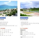 가현 여행사