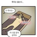 스피어프로젝트