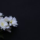 산업로R 인사이트