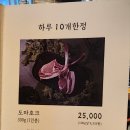 제주덕구제주점