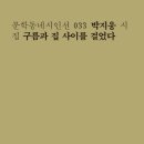 새들약국 이미지