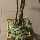 저스트킵고잉 이미지