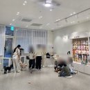 러버독&도그팰리스 이미지
