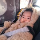 비네집 | 브라이텍스 카시트, 4개월 아기와 함께한 설날 드라이브 후기