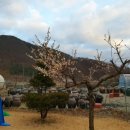 오덕전통된장 이미지