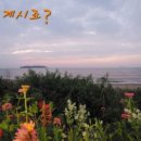성천길 네이버블로그