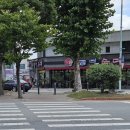 농민 | [내돈내산] 대전 농민순대 후기｜한화생명볼파크 맛집, 6,000원 순대국밥 웨이팅·주차 총정리