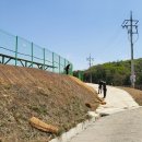 녹지태양광발전소 이미지