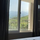 북천면사무소 | 느리게 살아보자! 슬로우시티 하동 2일차(켄싱턴 조식뷔페, 레일바이크, 하동편백자연휴양림)