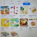 평동로 | [익산카페] 속리 후기｜강아지와 편하게 다녀온 애견동반카페